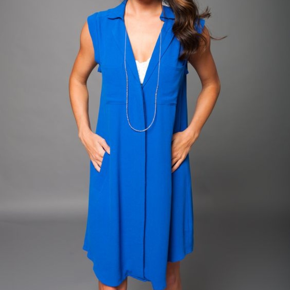 Greylin Blue Collar Shirt Dress